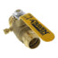 3/4" Full Port Press Ball Valve w/ Drain (Lead Free)