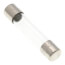 1 Amp Fast-Acting, 3AG Type Glass Fuse (250V)