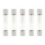 6 Amp Fast-Acting, 3AG Type Glass Fuse, 250V (Pack of 5)