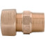 1" Compression (CTS) x MNPT Coupling - T-4350NL (No Lead Bronze)