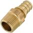 1/2" EVERLOC+ x 1/2" NPT Brass Male Adapter (Lead Free)