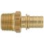1/2" EVERLOC+ x 1/2" NPT Brass Male Adapter (Lead Free)