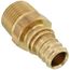 1/2" EVERLOC+ x 1/2" NPT Brass Male Adapter (Lead Free)