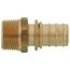 3/4" EVERLOC+ x 3/4" NPT Brass Male Adapter (Lead Free)