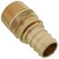 3/4" EVERLOC+ x 3/4" NPT Brass Male Adapter (Lead Free)