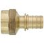 1/2" EVERLOC+ x 1/2" NPT Brass Female Adapter (Lead Free)