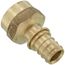 1/2" EVERLOC+ x 1/2" NPT Brass Female Adapter (Lead Free)