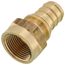3/4" EVERLOC+ x 3/4" NPT Brass Female Adapter (Lead Free)