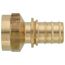 3/4" EVERLOC+ x 3/4" NPT Brass Female Adapter (Lead Free)
