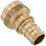 3/4" EVERLOC+ x 3/4" NPT Brass Female Adapter (Lead Free)