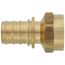 1" EVERLOC+ x 1" NPT Brass Female Adapter (Lead Free)