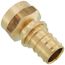 1" EVERLOC+ x 1" NPT Brass Female Adapter (Lead Free)