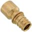 1/2" EVERLOC+ x 1/2" Female Sweat Copper Pipe Brass Adapter (Lead Free)