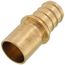 1" EVERLOC+ x 1" Male Sweat Copper Pipe Brass Adapter (Lead Free)