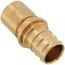 1" EVERLOC+ x 1" Male Sweat Copper Pipe Brass Adapter (Lead Free)