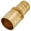 1" EVERLOC+ x 1" Female Sweat Copper Pipe Brass Adapter (Lead Free)