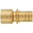 1" EVERLOC+ x 1" Female Sweat Copper Pipe Brass Adapter (Lead Free)