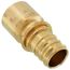 1" EVERLOC+ x 1" Female Sweat Copper Pipe Brass Adapter (Lead Free)