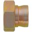 Bonnet Adapter Kit for Siebe Globe Valves (1/2" - 2")