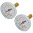 Manifold Thermometer for 1-1/4" Stainless Steel Manifolds (Box of 2)