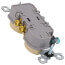 Duplex Receptacle - Ivory (15A, 125V)