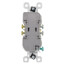 Duplex Receptacle - White (15A, 125V)