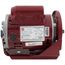 Capacitor Start Hot Water Circulating Pump Motor (115/208-230V, 3/4 HP, 1725 RPM)