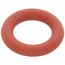 Chlorinated Water-Resistant O-Ring