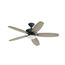 52" Renew Designer Fan (Satin Black)