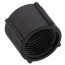 1/2" FPT Lav Nut