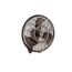 Pola 24" Wall Fan (Satin Natural Bronze)