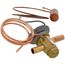 Expansion Valve, 33B0006N16