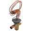 1/2 Txv Valves, 33B0043N10