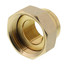 3/4" FNPT Tailpiece Kit
