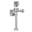Royal 113 ES-S Exposed Sensor Hardwired Water Closet Flushometer (1.6 GPF/6.0 LPF)
