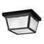 9.25" 2 Light Outdoor Flush Mount w/ Clear Textured Glass (Black)