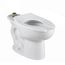 Madera 1.1 - 1.6 gpf (4.2 - 6.0 Lpf) Chair Height Top Spud Elongated EverClean Bowl w/ Bedpan Lugs (White)