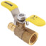 1/2" Expansion PEX x FNPT Full Flow Forged Brass Ball Valve w/ Wing T-Handle (Lead Free)
