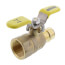 1" Expansion PEX x FNPT Full Flow Forged Brass Ball Valve w/ Wing T-Handle (Lead Free)