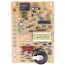 Direct Spark Ignition Control, 120v w/ 0 sec. Prepurge (4 sec. TFI)