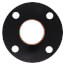 2-1/2" Wrot Companion Flange