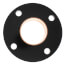 3" Wrot Companion Flange