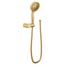 Engage Brushed Gold 4 Function 5-1/2" Diameter Handheld Shower, 1.75 Gpm, 3636EPBG