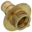 Moda 1/2" Brass F1960 Tailpiece Adapter
