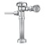 Sloan 111-1.28 Exposed Closet Flushometer with Dual-Filtered Bypass