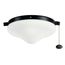 LED Wet Light Kit (Satin Black)