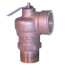 Steam Safety Valve, 383-600-111