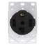 Straight Blade Single Receptacle, 3P, 4-Wire - Black (30A, 125/250V)
