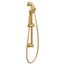 Brushed Gold Traditional 1 Function Eco-performance Handheld Shower w/ 24" Slide Bar 1.75 Gpm, 3868EPBG