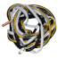 Temperature Sensor, 3900028001